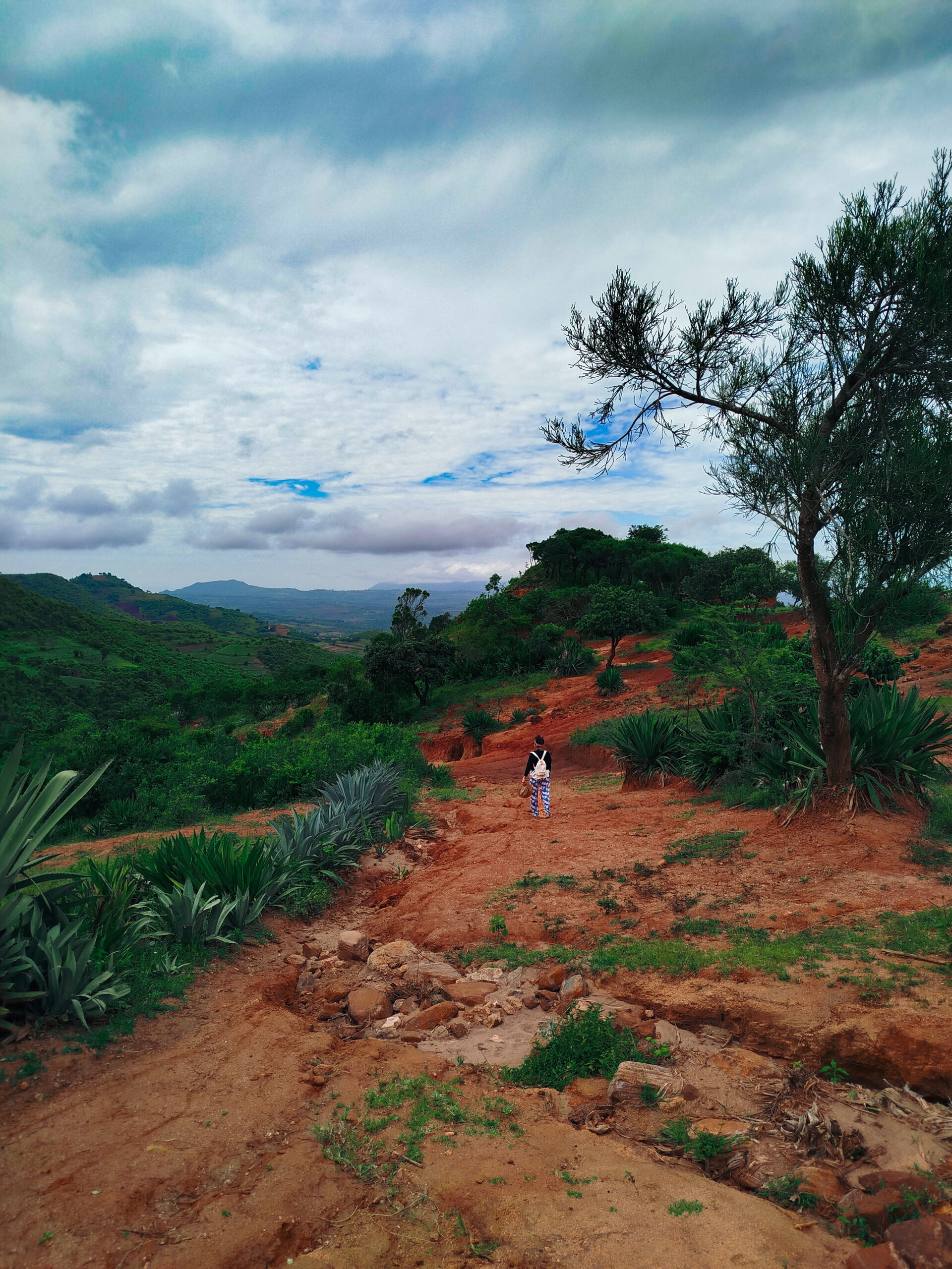 balade tanzanie