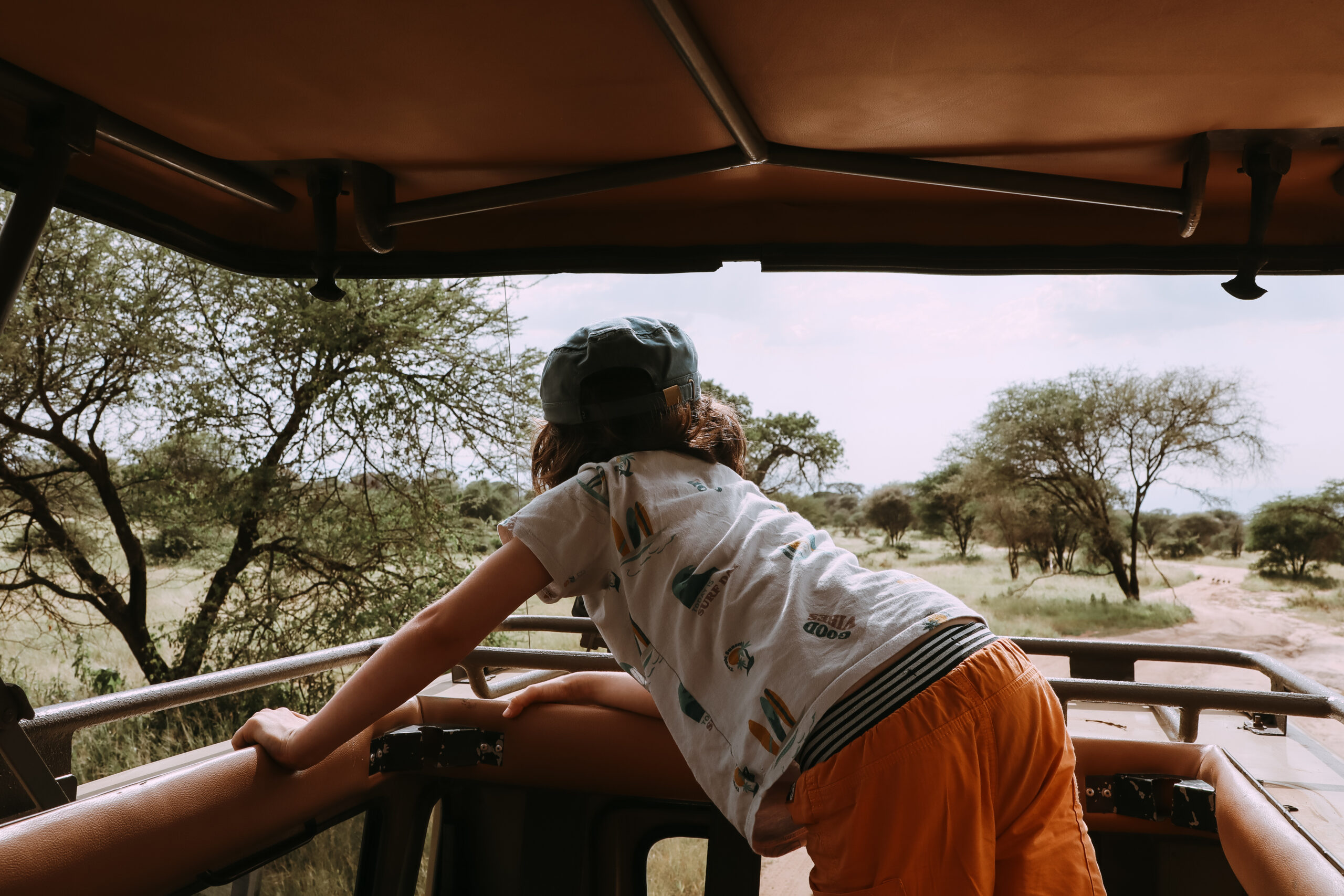 safari eliott