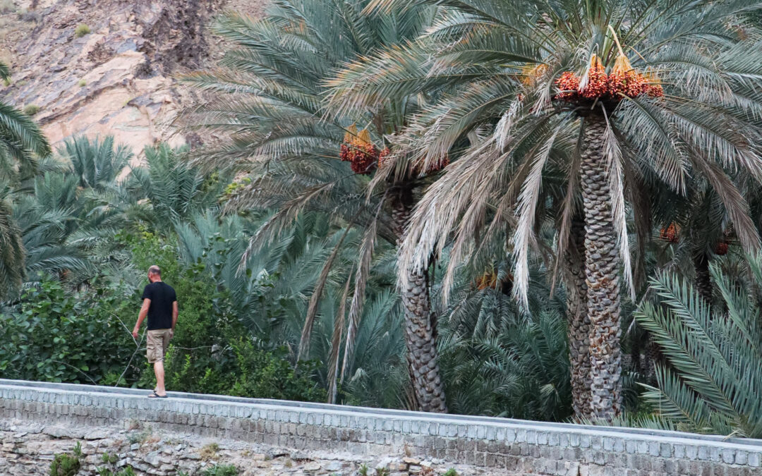 ITINERAIRE DE NOTRE ROAD TRIP A OMAN, L’AUTHENTIQUE, PENDANT DEUX SEMAINES